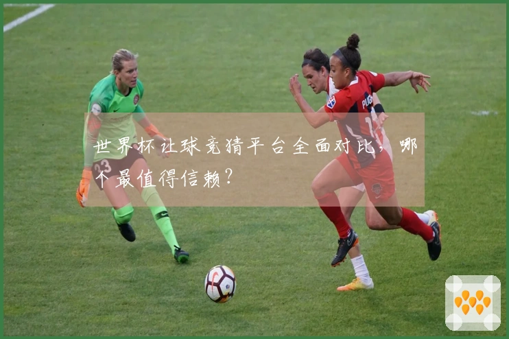 世界杯让球竞猜平台全面对比，哪个最值得信赖？