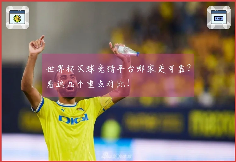 世界杯买球竞猜平台哪家更可靠？看这几个重点对比！