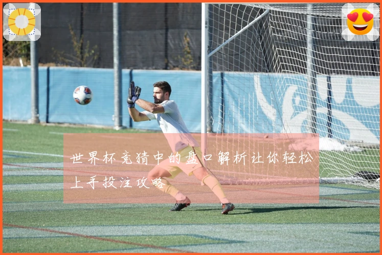 世界杯竞猜中的盘口解析让你轻松上手投注攻略