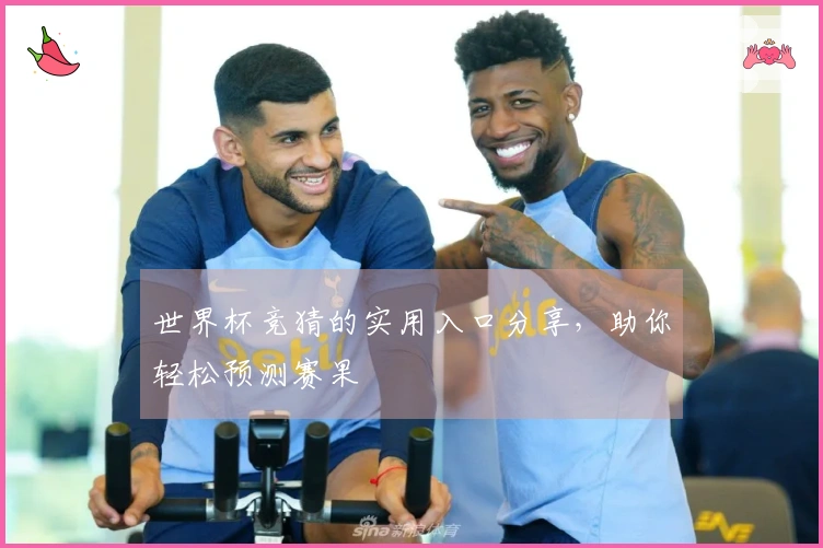 世界杯竞猜的实用入口分享，助你轻松预测赛果
