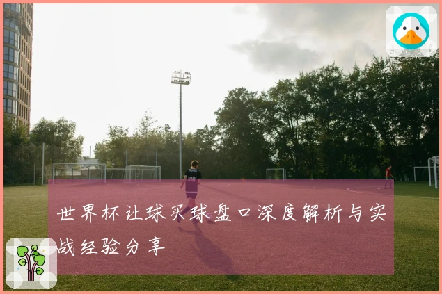 世界杯让球买球盘口深度解析与实战经验分享