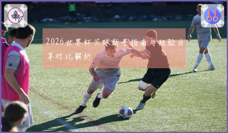 2026世界杯买球新手指南与经验分享对比解析