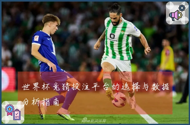 世界杯竞猜投注平台的选择与数据分析指南