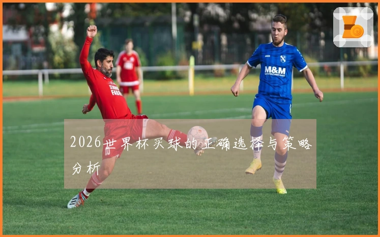 2026世界杯买球的正确选择与策略分析