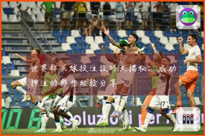世界杯买球投注技巧大揭秘：成功押注的那些经验分享