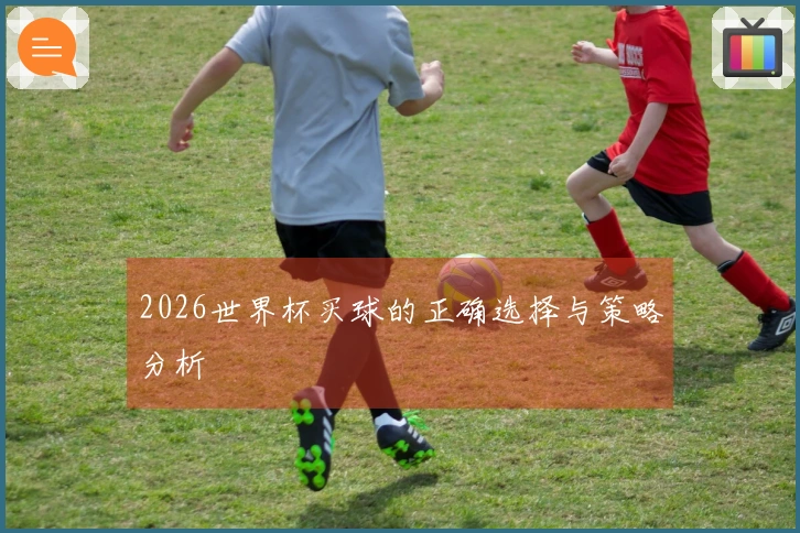 2026世界杯买球的正确选择与策略分析