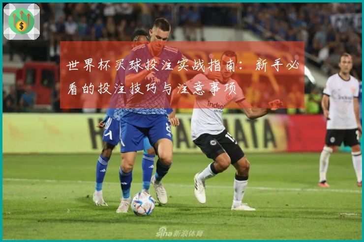 世界杯买球投注实战指南：新手必看的投注技巧与注意事项