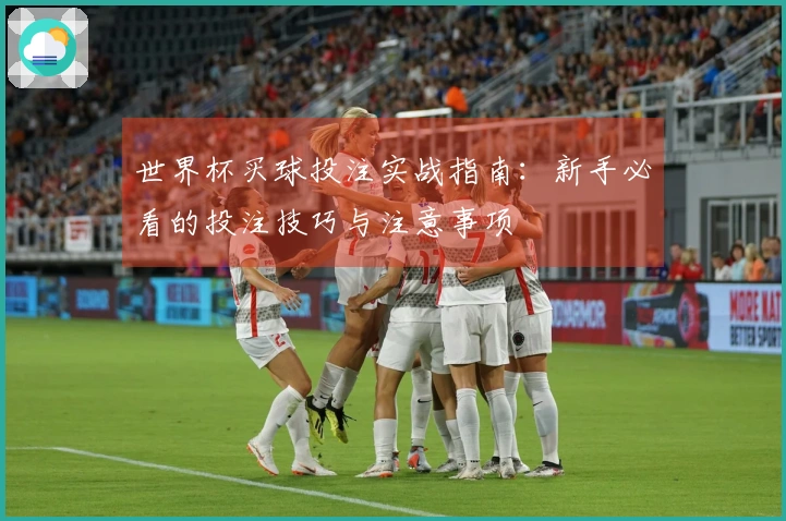 世界杯买球投注实战指南：新手必看的投注技巧与注意事项