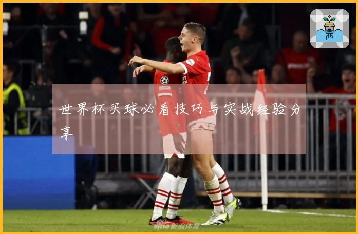 世界杯买球必看技巧与实战经验分享