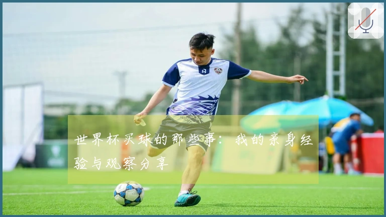 世界杯买球的那些事：我的亲身经验与观察分享