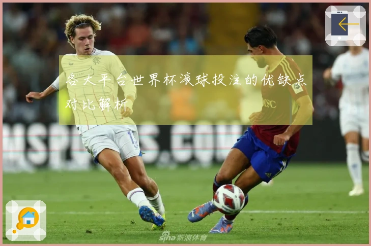 各大平台世界杯滚球投注的优缺点对比解析