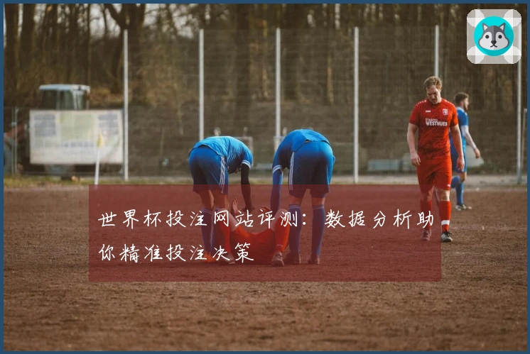 世界杯投注网站评测:数据分析助你精准投注决策