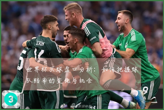 世界杯买球盘口分析：如何把握球队赔率的变化与机会