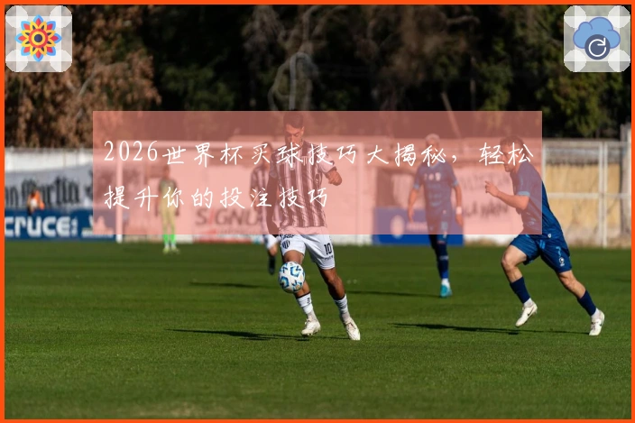 2026世界杯买球技巧大揭秘，轻松提升你的投注技巧