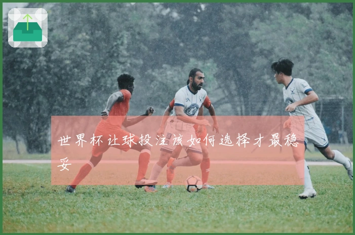 世界杯让球投注该如何选择才最稳妥