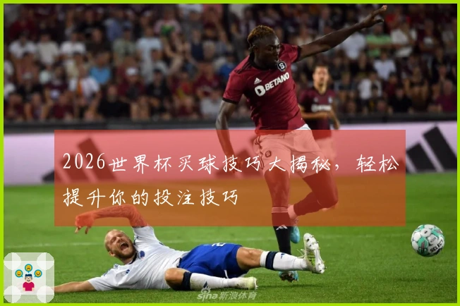 2026世界杯买球技巧大揭秘,轻松提升你的投注技巧