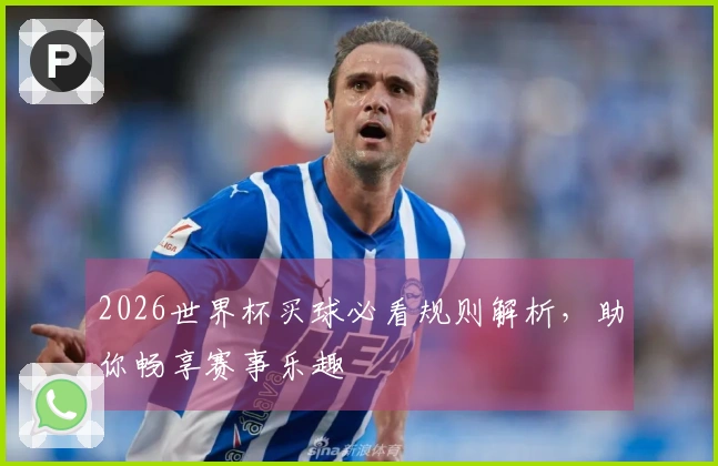 2026世界杯买球必看规则解析，助你畅享赛事乐趣